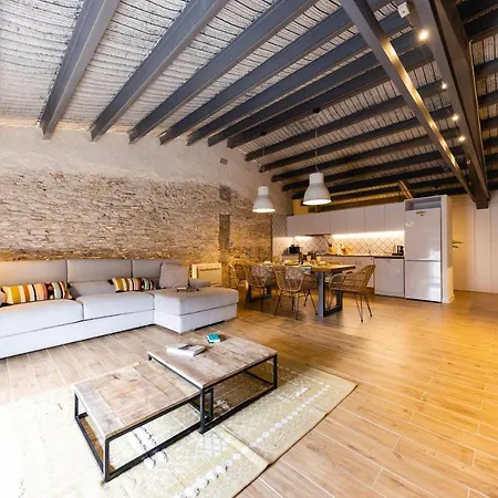 Bravissimo Placa Del Vi, Design Penthouse Gerona Exterior foto
