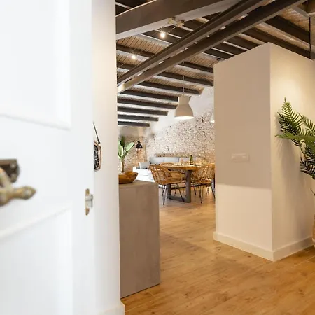 Bravissimo Placa Del Vi, Design Penthouse Gerona Exterior foto